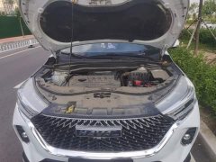 Haval M6 PLUS 1.5T DCT Luxury Smart Connected Edition - ფოტო 11