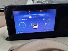 Wuling Binguo 333km Joy Edition - ფოტო 10