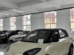 Wuling Binguo 333km Joy Edition - ფოტო 2