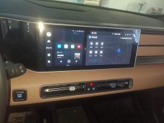 Geely ICON 1.5TD Star Edition - ფოტო 10