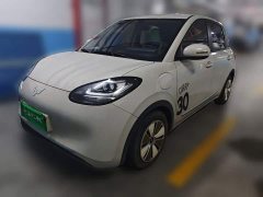 Wuling Binguo 333km Quick Enjoy Edition - ფოტო 1