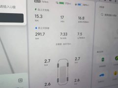 Li Auto L7 Pro - ფოტო 12