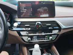 BMW 5 Series 530Li Luxury Edition Premium Package - ფოტო 6