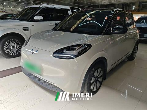 2024 Wuling Binguo 410km Lingxi Premium Edition