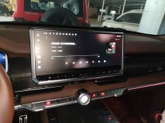 Tank 700 New Energy Hi4-T Extreme Edition - ფოტო 20