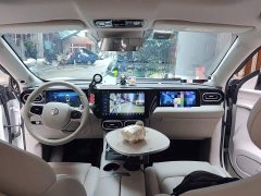 Leapmotor Leapo C11 Pure Electric 500 Comfort Edition - ფოტო 13