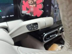 Leapmotor Leapo C11 Pure Electric 500 Comfort Edition - ფოტო 7