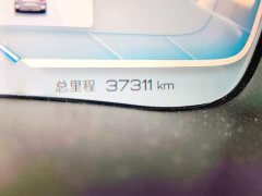BYD Song Plus New Energy Glory Edition DM-i 110km Flagship Plus - ფოტო 5