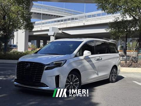 2022 Buick GL8 ES Luxun Luxury Edition