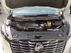 Buick GL8 2023 ES Luxun Luxury Edition - ფოტო 11