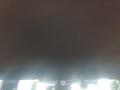 Volkswagen Bora Pure Electric 2020 Fashion - ფოტო 14