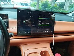 Leapmotor C16 Pure Electric 520 Deluxe Edition - ფოტო 6