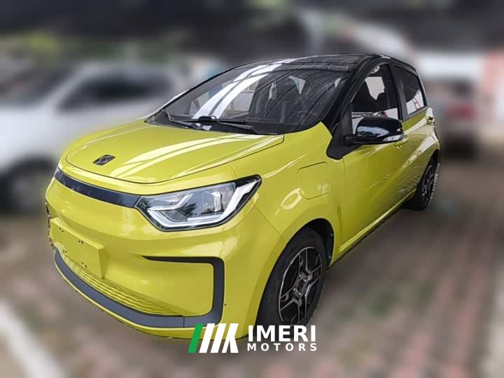 Flower Fairy 302km Luxury 30.2kWh - car from China