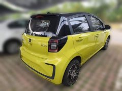 Flower Fairy 302km Luxury 30.2kWh - photo 10
