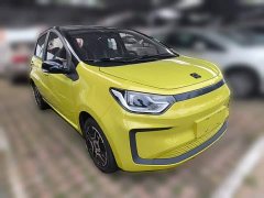 Flower Fairy 302km Luxury 30.2kWh - photo 6