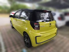 Flower Fairy 302km Luxury 30.2kWh - photo 7