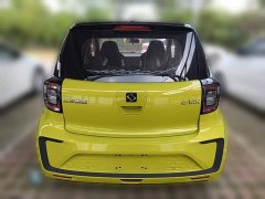 Flower Fairy 302km Luxury 30.2kWh - photo 8