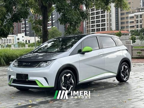 2021 BYD Dolphin 405km Fashion Edition - ავტომობილი ჩინეთიდან
