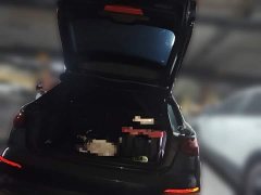 Audi A3 2023 Facelift Sportback 35 TFSI Fashion Sport - ფოტო 10