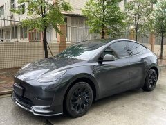 Tesla Model Y Rear-Wheel Drive - ფოტო 1