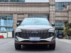 Haval Divine Beast 1.5T Smart Enjoy Edition - ფოტო 3