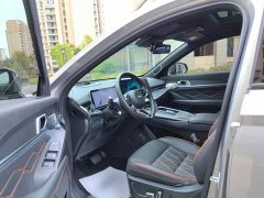 Haval Divine Beast 1.5T Smart Enjoy Edition - ფოტო 9
