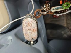 FAW Besturn Xiaoma 222km Dynamic Edition - ფოტო 12
