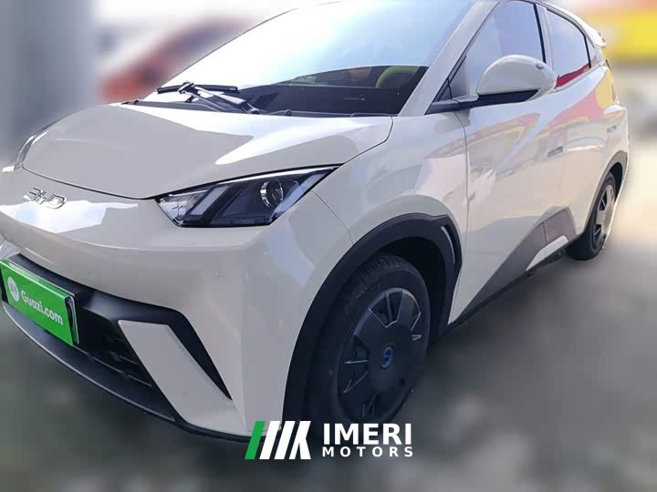 BYD Seagull 2025 305km Vitality Edition - ავტომობილი ჩინეთიდან