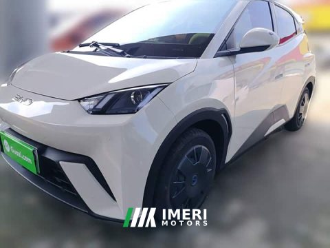 2024 BYD Seagull 2025 305km Vitality Edition - ავტომობილი ჩინეთიდან
