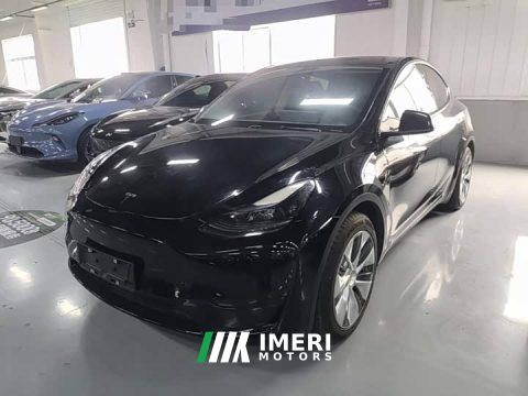 2022 Tesla Model Y Rear-Wheel Drive - ავტომობილი ჩინეთიდან