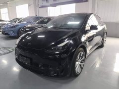 Tesla Model Y Rear-Wheel Drive - ფოტო 2