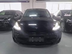 Tesla Model Y Rear-Wheel Drive - ფოტო 3