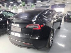 Tesla Model Y Rear-Wheel Drive - ფოტო 5