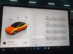 Tesla Model Y Rear-Wheel Drive - ფოტო 8