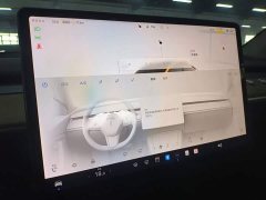 Tesla Model Y Rear-Wheel Drive - ფოტო 9