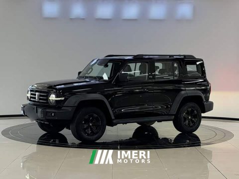 2022 Tank 300 2021 Off-Road Edition 2.0T Conqueror - ავტომობილი ჩინეთიდან