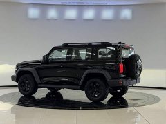 Tank 300 2021 Off-Road Edition 2.0T Conqueror - ფოტო 11