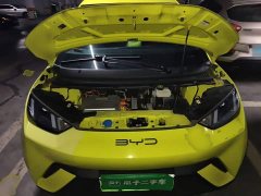 BYD Seagull Freedom Edition - ფოტო 11