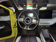 BYD Seagull Freedom Edition - ფოტო 3