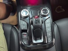 Tank 300 2021 City Edition 2.0T Stylish - ფოტო 10