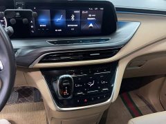 Buick GL8 ES Lu Zun 653T Premier - ფოტო 7