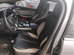 BYD Qin PLUS 2021 EV 400KM Luxury - ფოტო 8