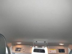 Volkswagen Polo Plus 1.5L Automatic Passion Lifestyle Edition - ფოტო 14