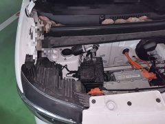 Wuling Zhiguang New Energy 305km Aspiring Edition - ფოტო 20