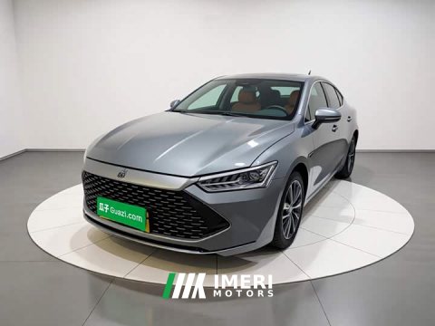 2024 BYD Qin Plus 2023 Champion Edition DM-i 120KM Exceed - ავტომობილი ჩინეთიდან