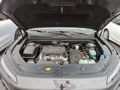 Wuling Xingguang S 2024 130km Pilot Edition - ფოტო 16
