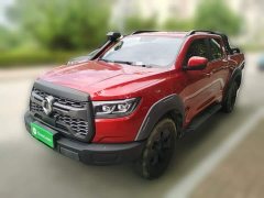 Honda Cannon 2020 2.0T Off-road Auto Gasoline 4WD Advanced GW4C20B - ფოტო 1