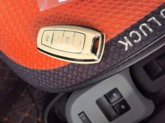 ORA Black Cat 301km Cute Pet Edition - ფოტო 12