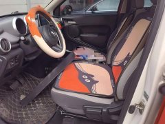 ORA Black Cat 301km Cute Pet Edition - ფოტო 8