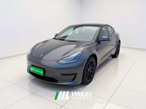 2022 Tesla Model 3 Rear-Wheel Drive - ავტომობილი ჩინეთიდან